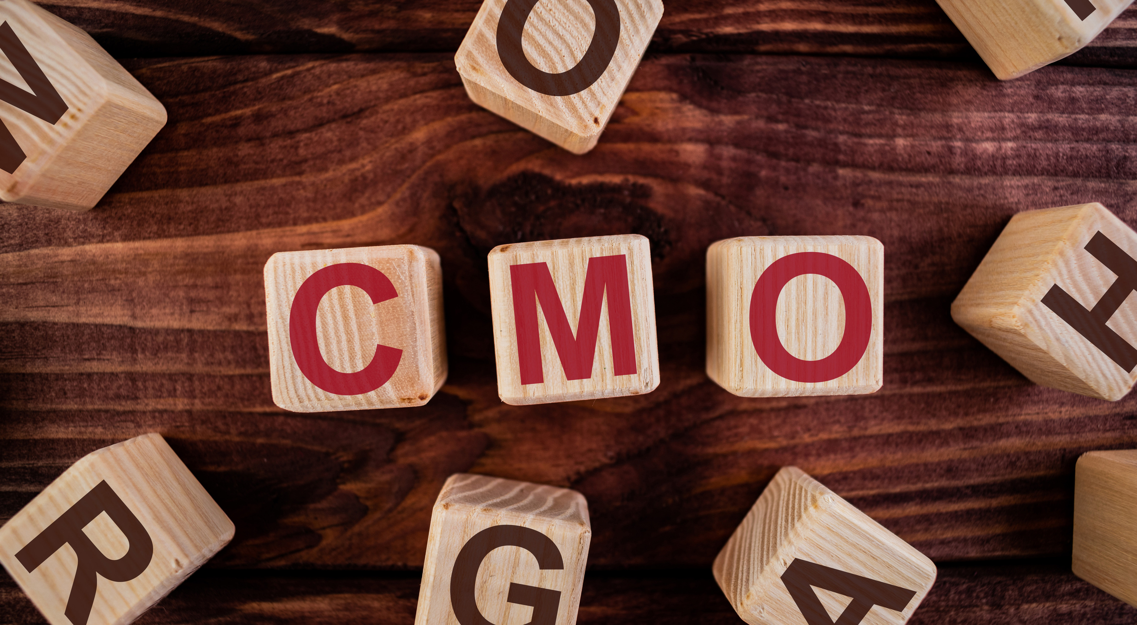 Why You Should Hire a Small Business Fractional CMO